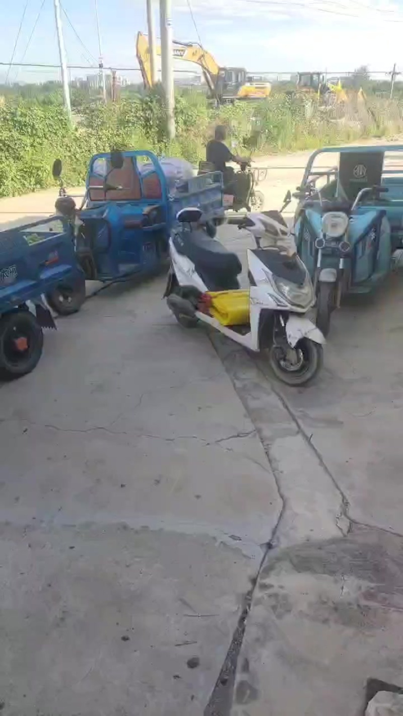 青皮核桃
