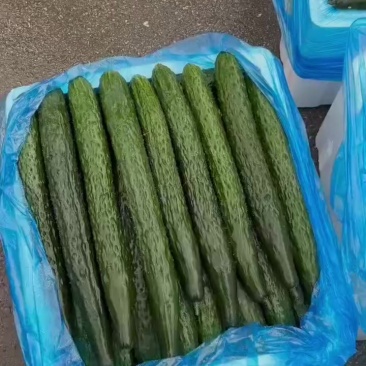 黄瓜蔬菜