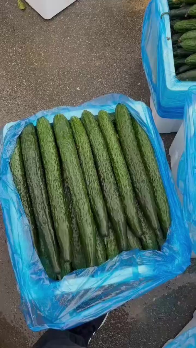 黄瓜蔬菜