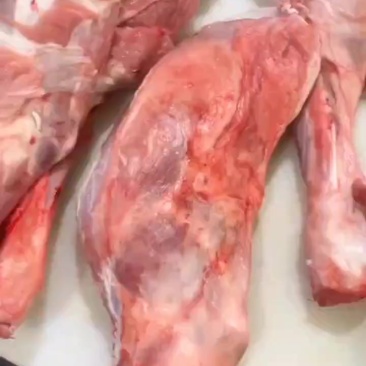 鲜剔纯干羔羊羊腿羊排