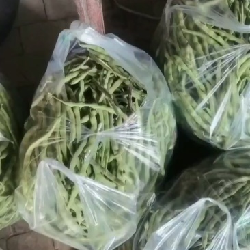 豆角