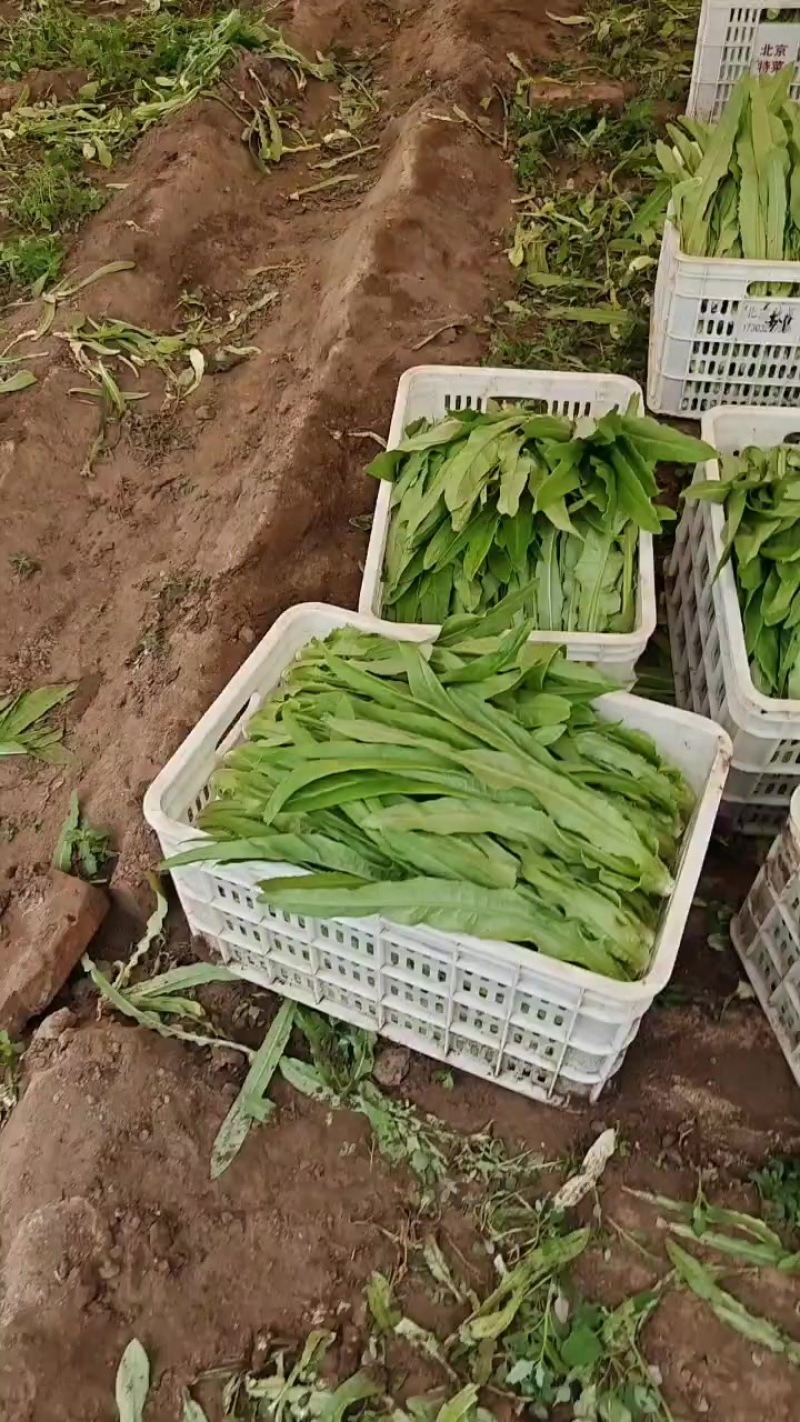 山西大同