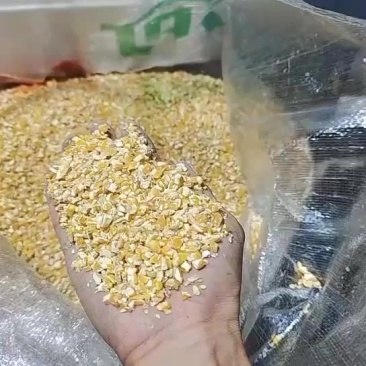 碎玉米粒