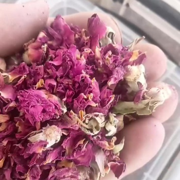 玫瑰花