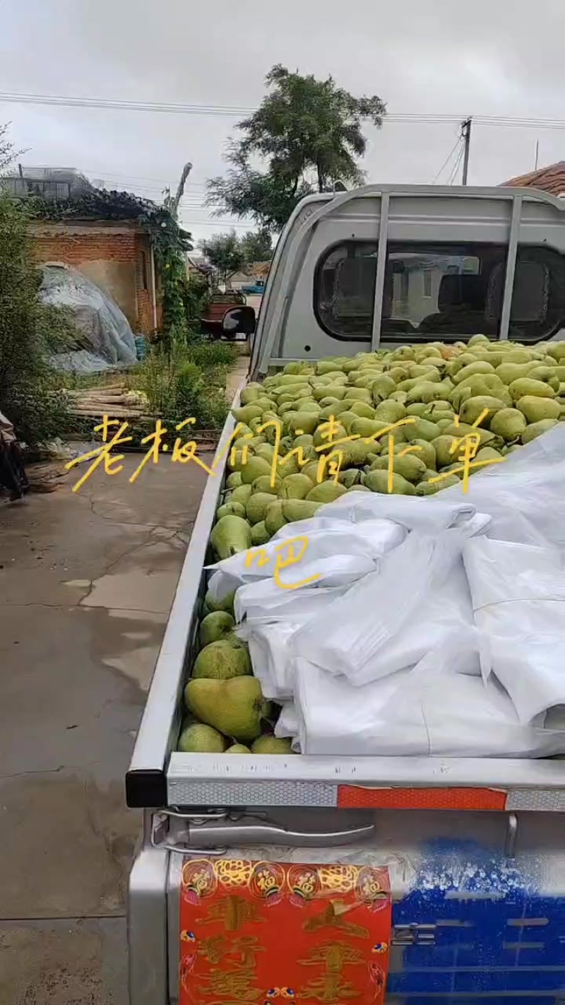 莱州市车轴梨，也叫太婆梨，