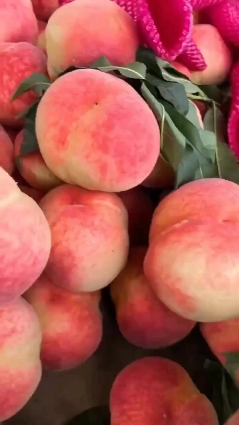 久保大量上市红桃白桃