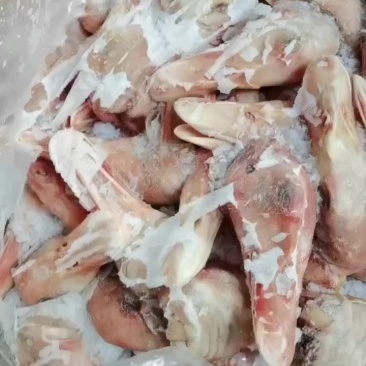 箱装大板鸭头4吨