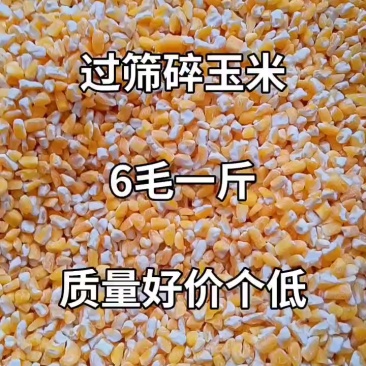 #玉米#碎玉米净粮#养殖碎玉米