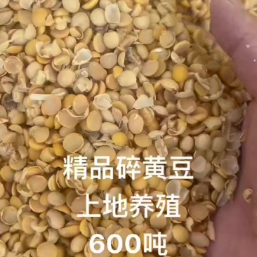碎玉米