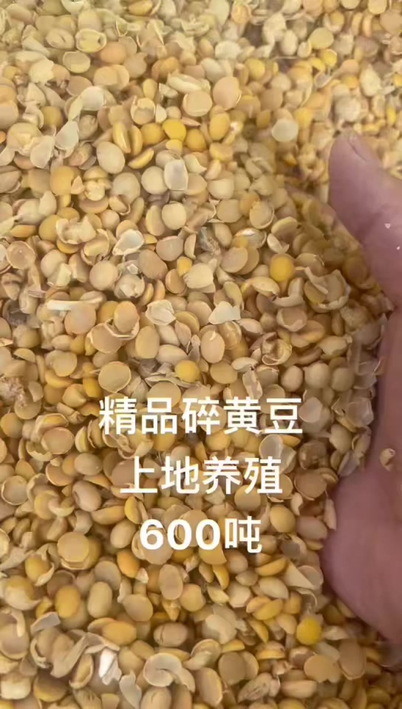 碎玉米