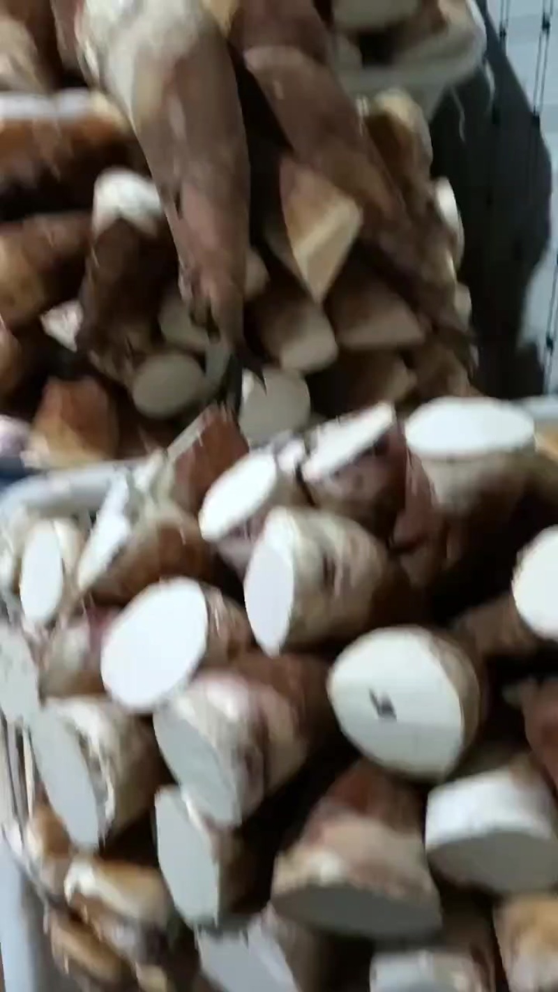 云南甜竹笋