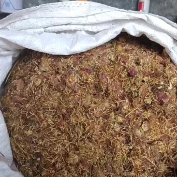 合欢花