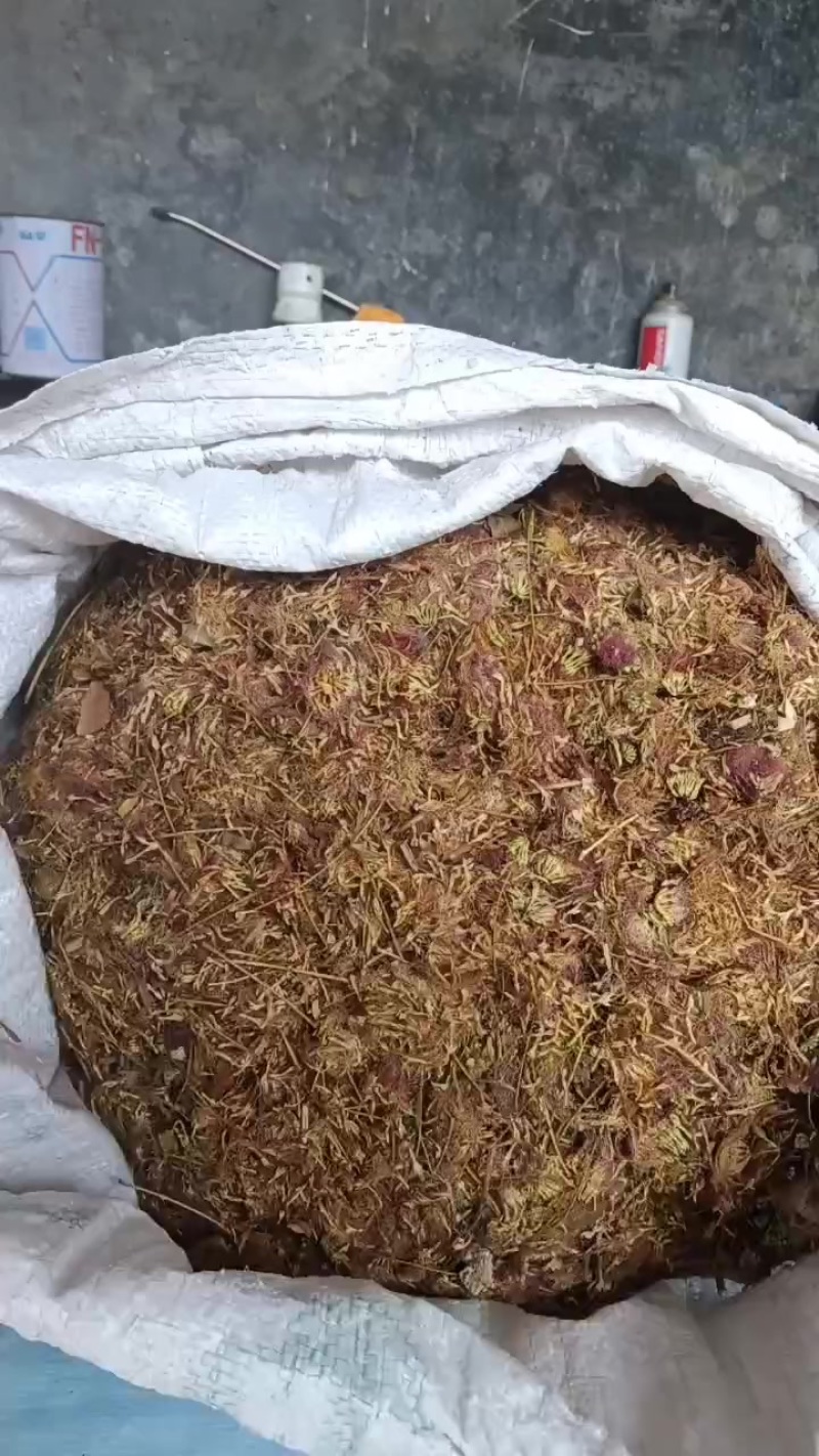 合欢花