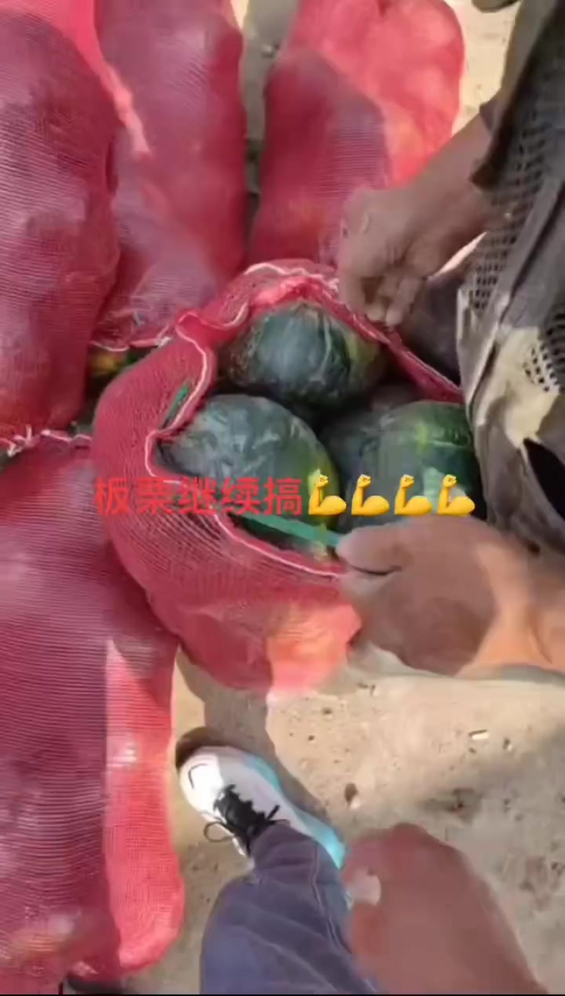 大量上市，按需要包装，有雨点板栗，花板栗
