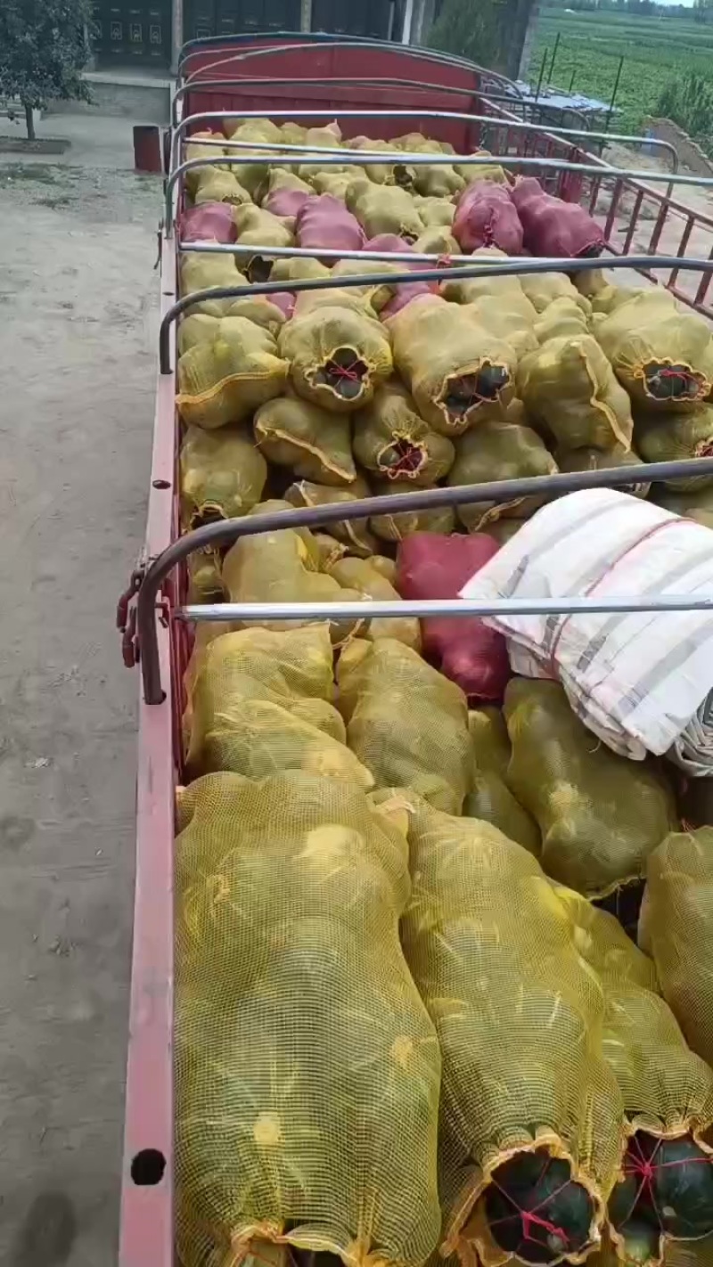 大量上市，按需要包装，有雨点板栗，花板栗