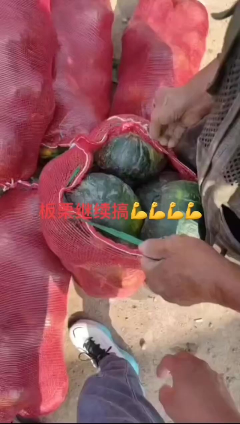 大量上市，按需要包装，有雨点板栗，花板栗