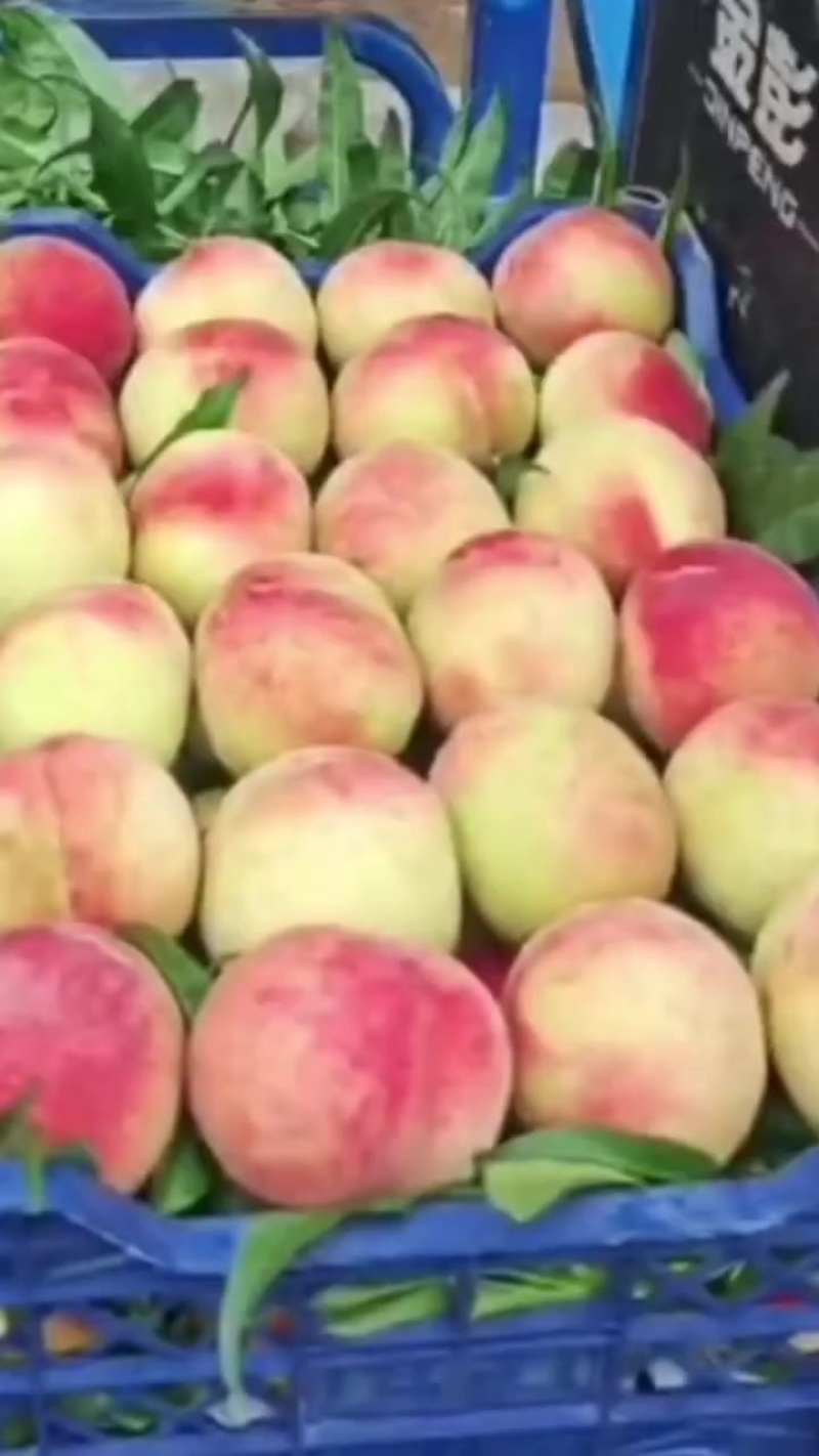 中桃系列红不软产地精品果
