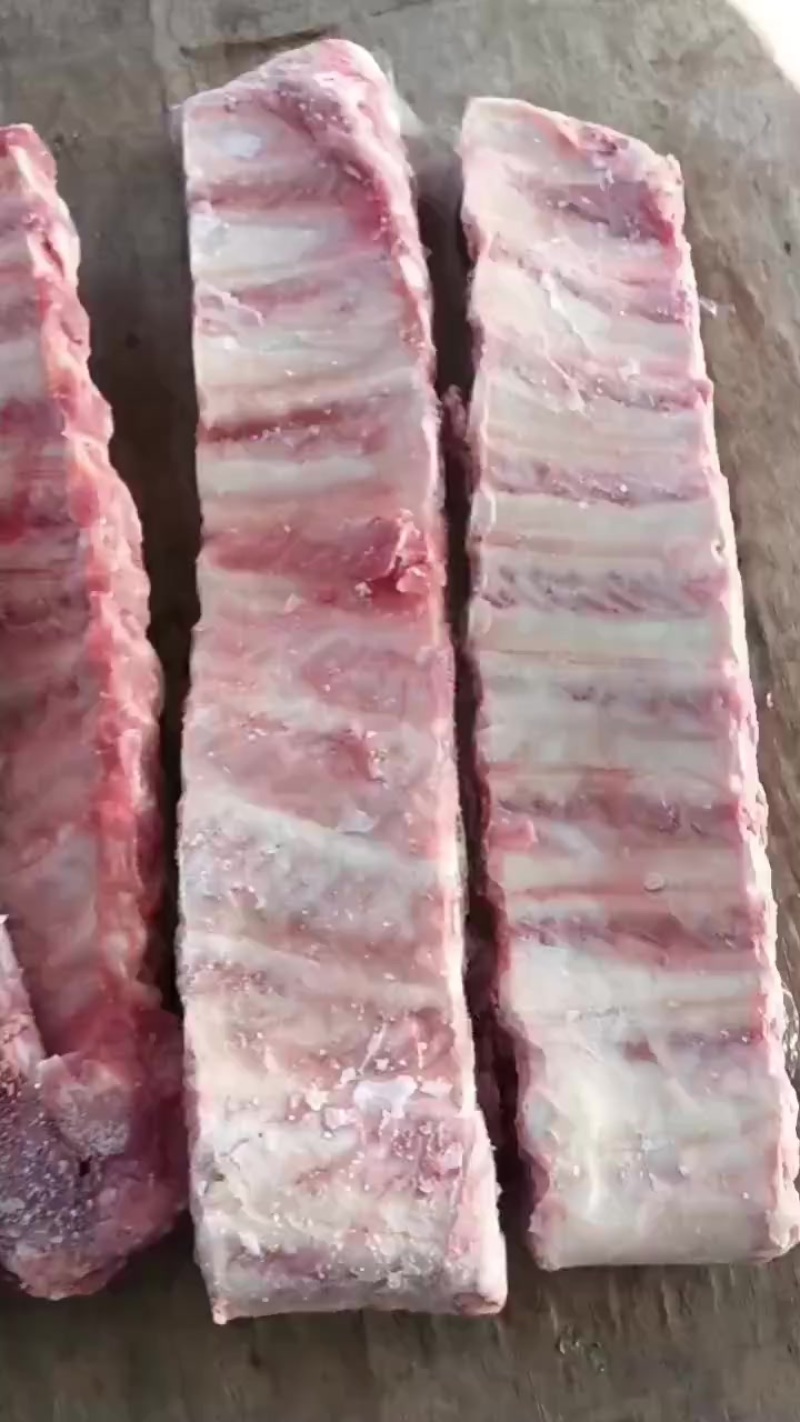 母猪宽寸排新货新开量大优惠长期有货
