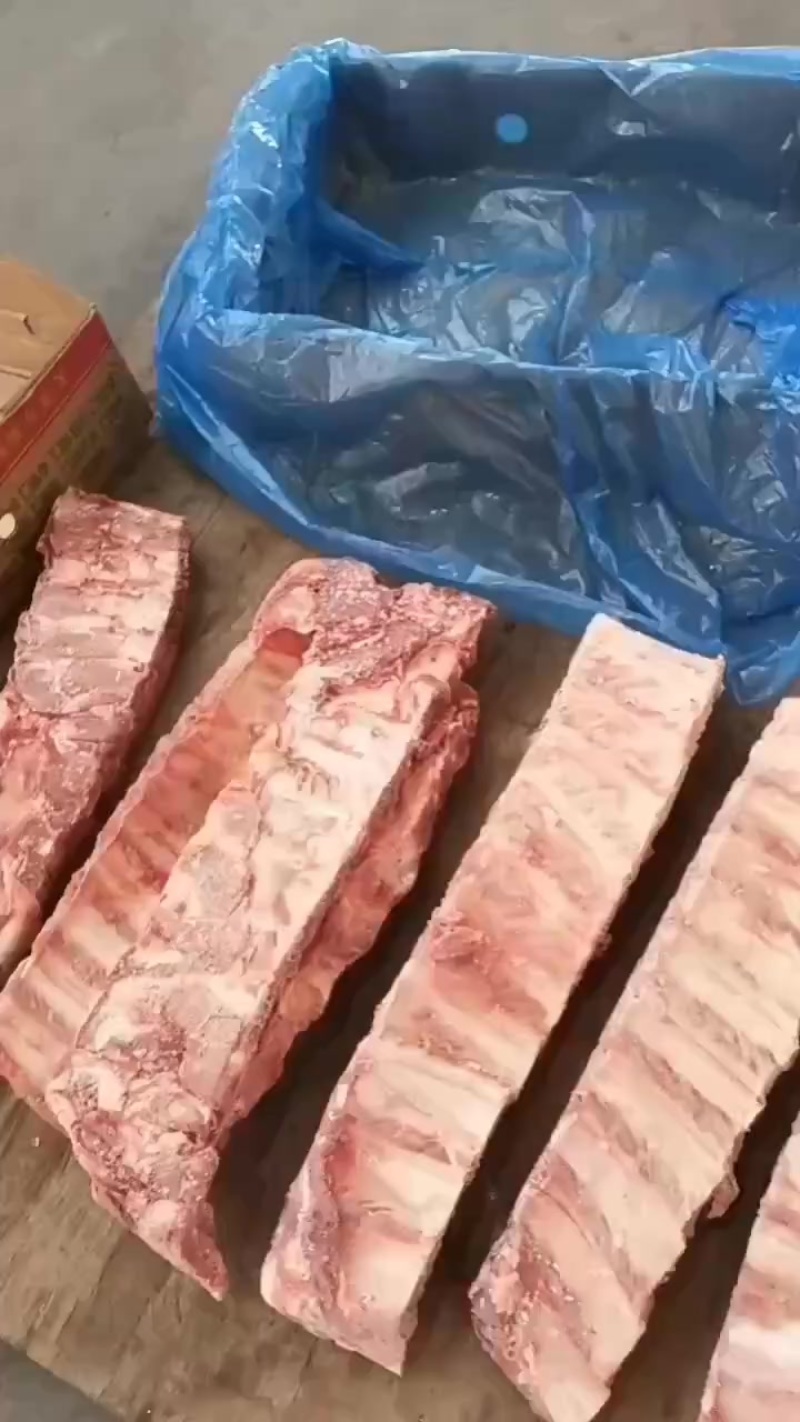 母猪宽寸排新货新开量大优惠长期有货