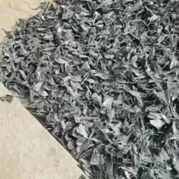 天然无公害海带头