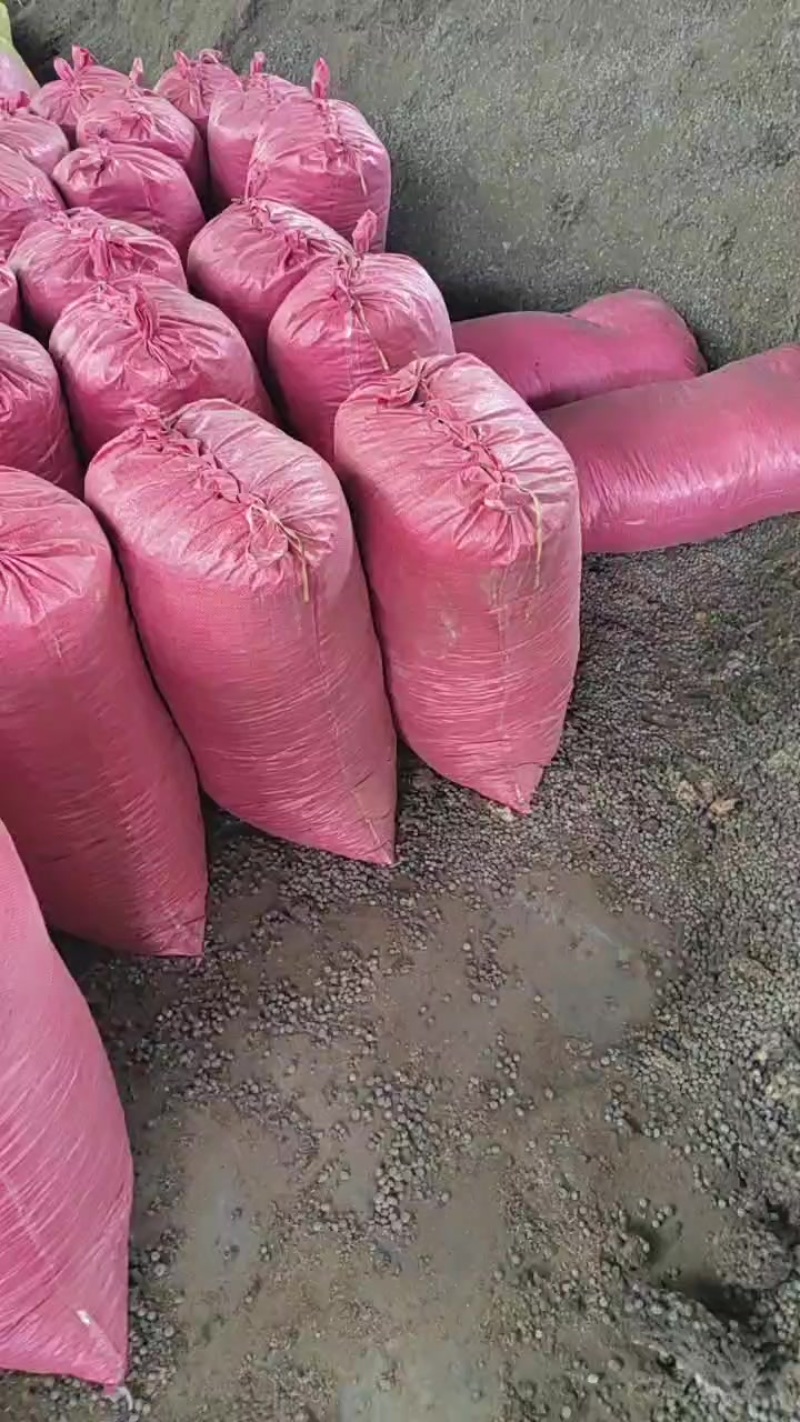 发酵纯兔粪颗粒