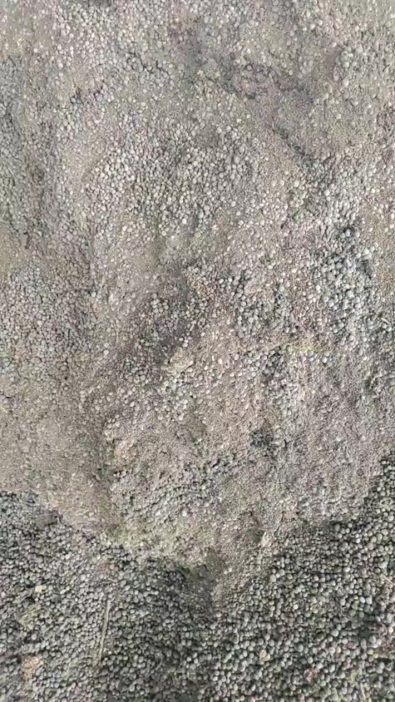 发酵纯兔粪颗粒