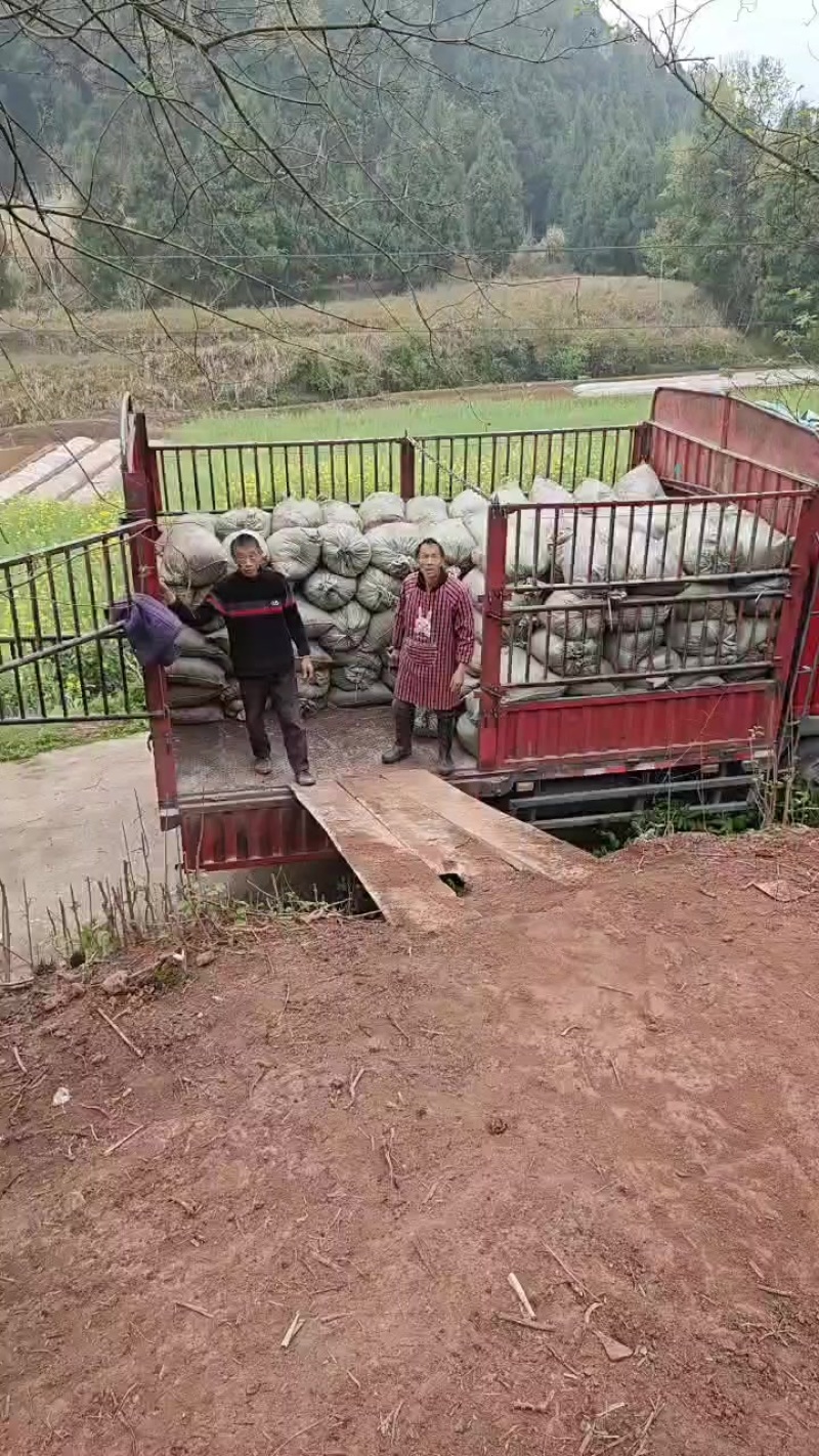有机肥兔粪