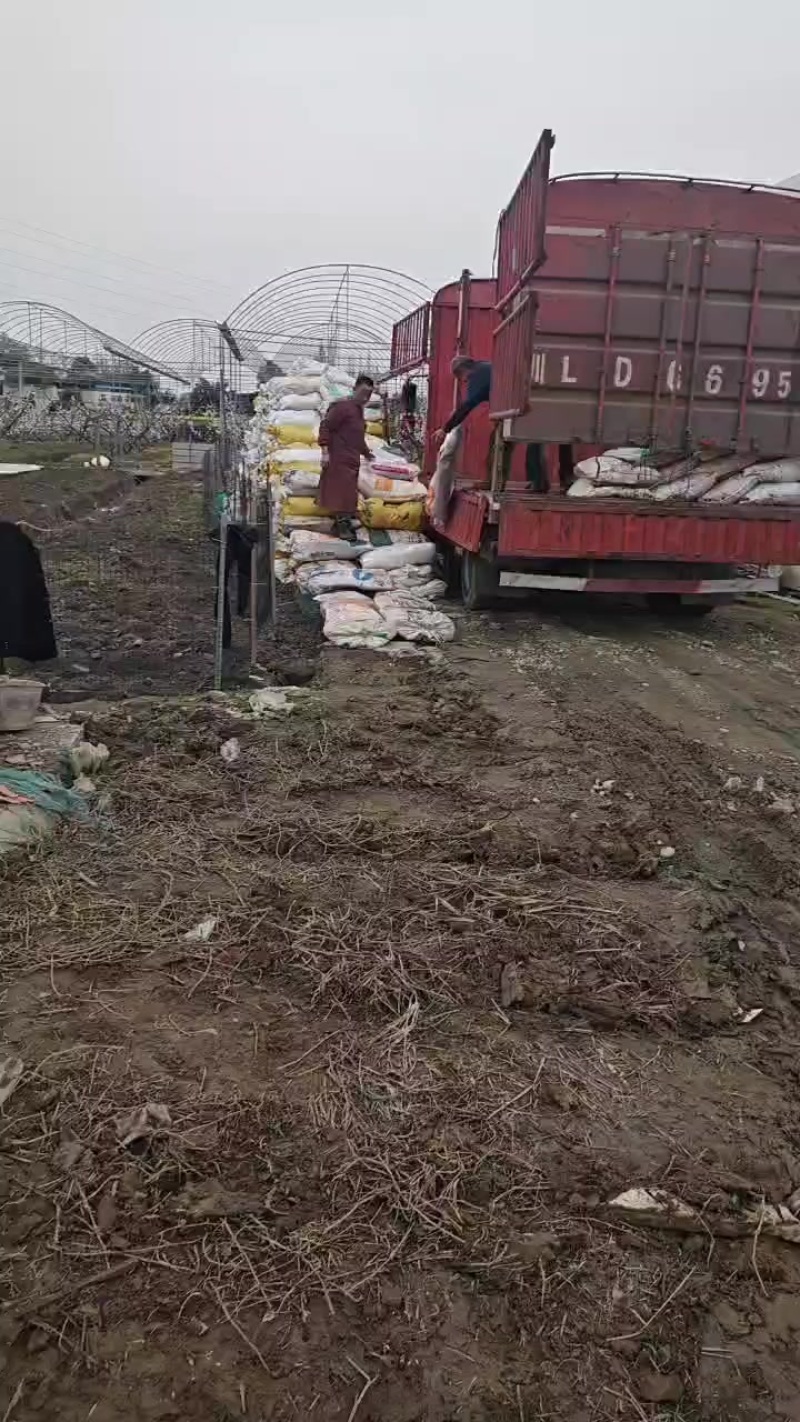 有机肥兔粪