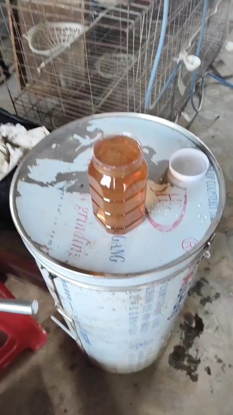 纯蜂密