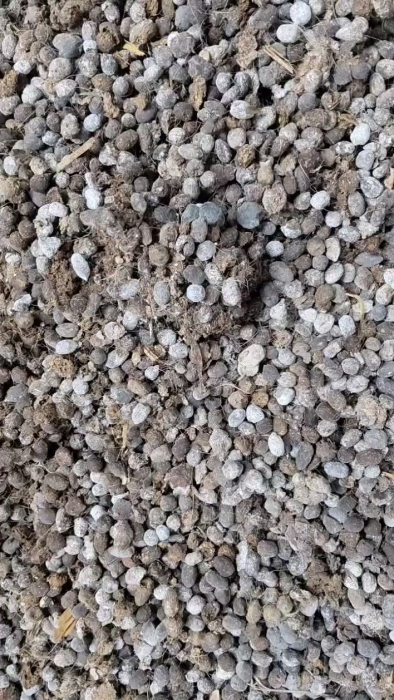 纯羊粪颗粒农家肥