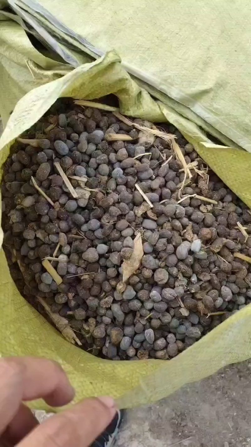 纯羊粪颗粒农家肥