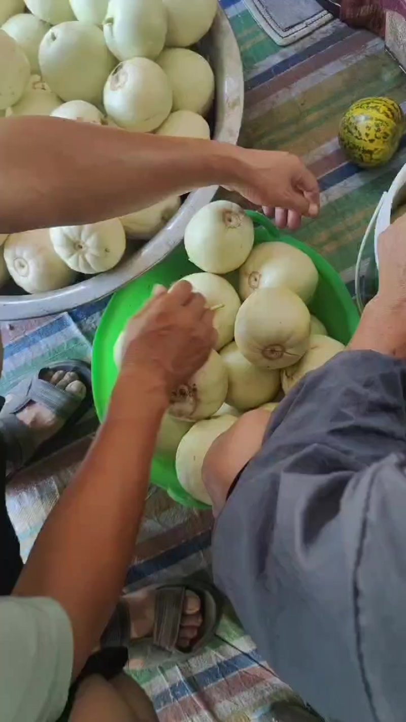 甜瓜大量上市