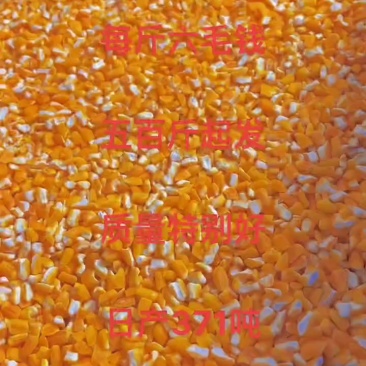 碎玉米