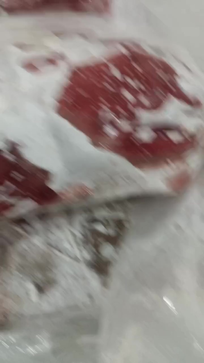冻牛肉