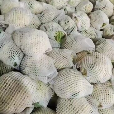 精品散花