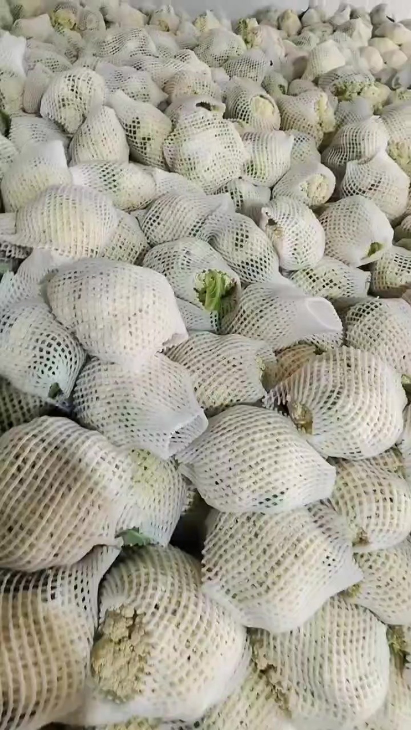 精品散花