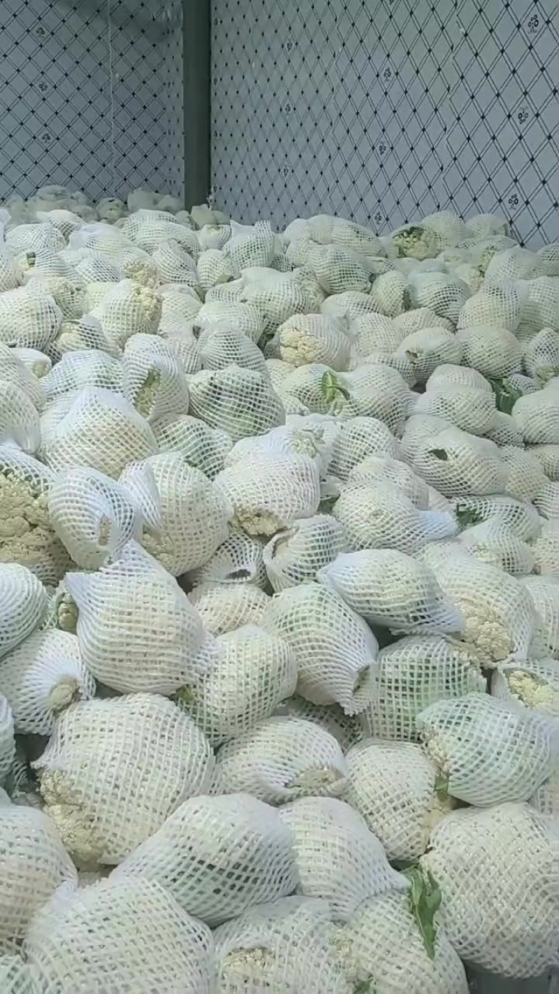 精品散花