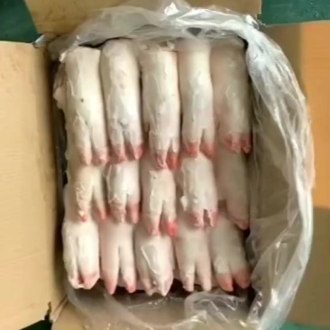 一级蹄