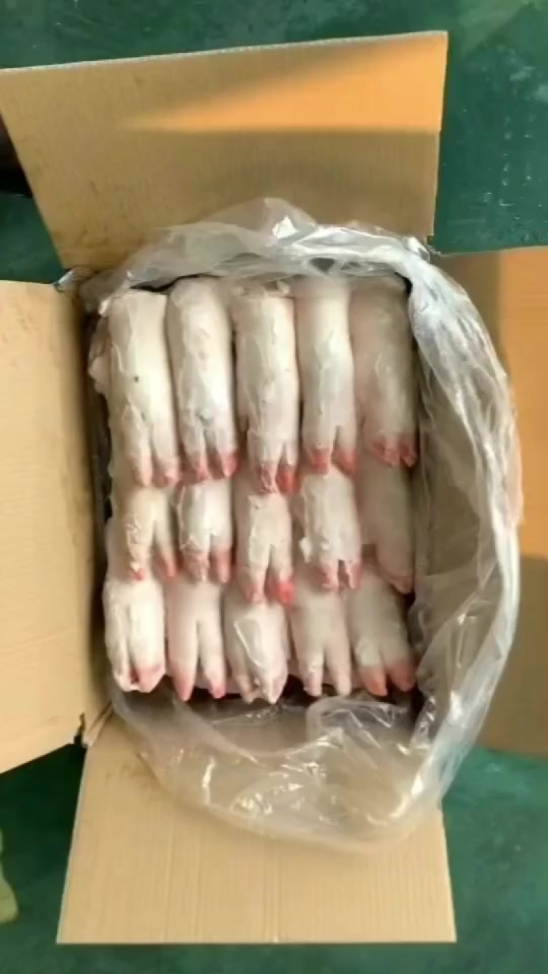 一级蹄