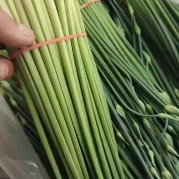 韭菜杆