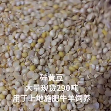 碎黄豆