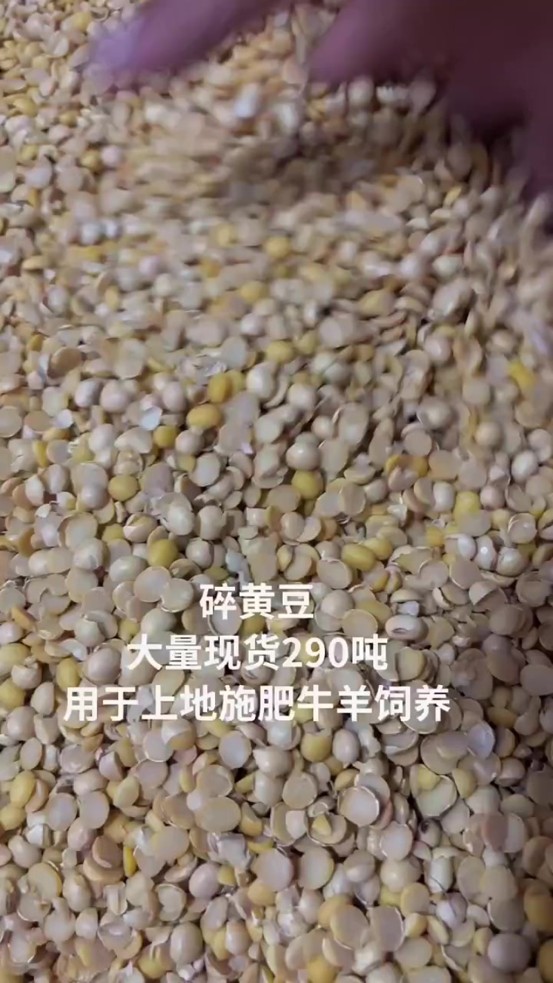 碎黄豆