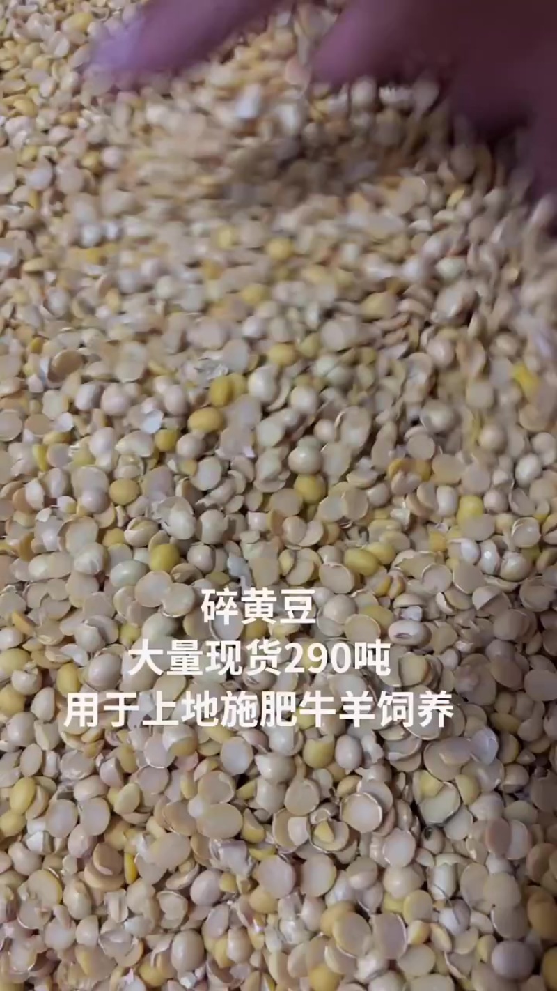 碎黄豆