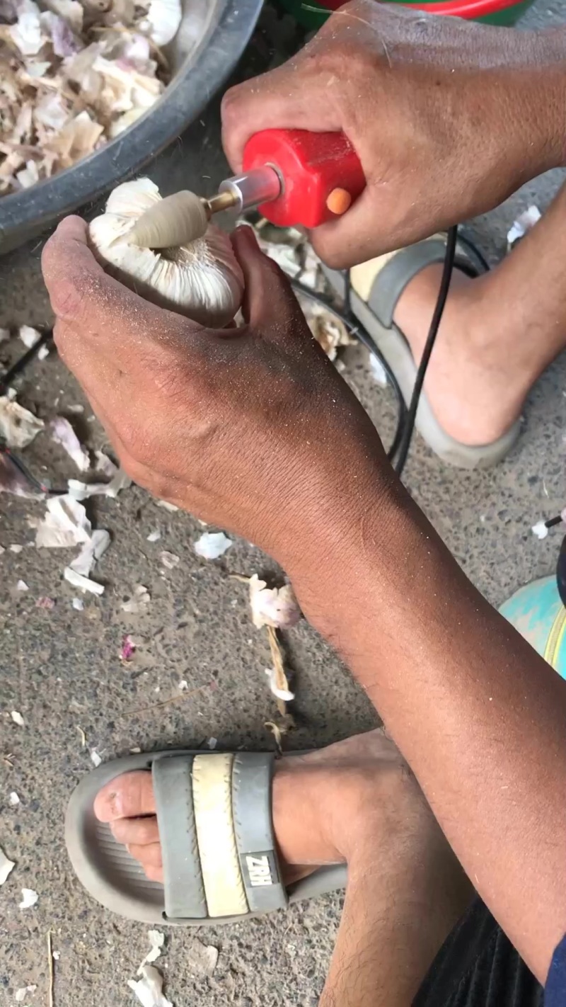 大蒜净盘机