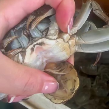 六月黄品质支持物流
