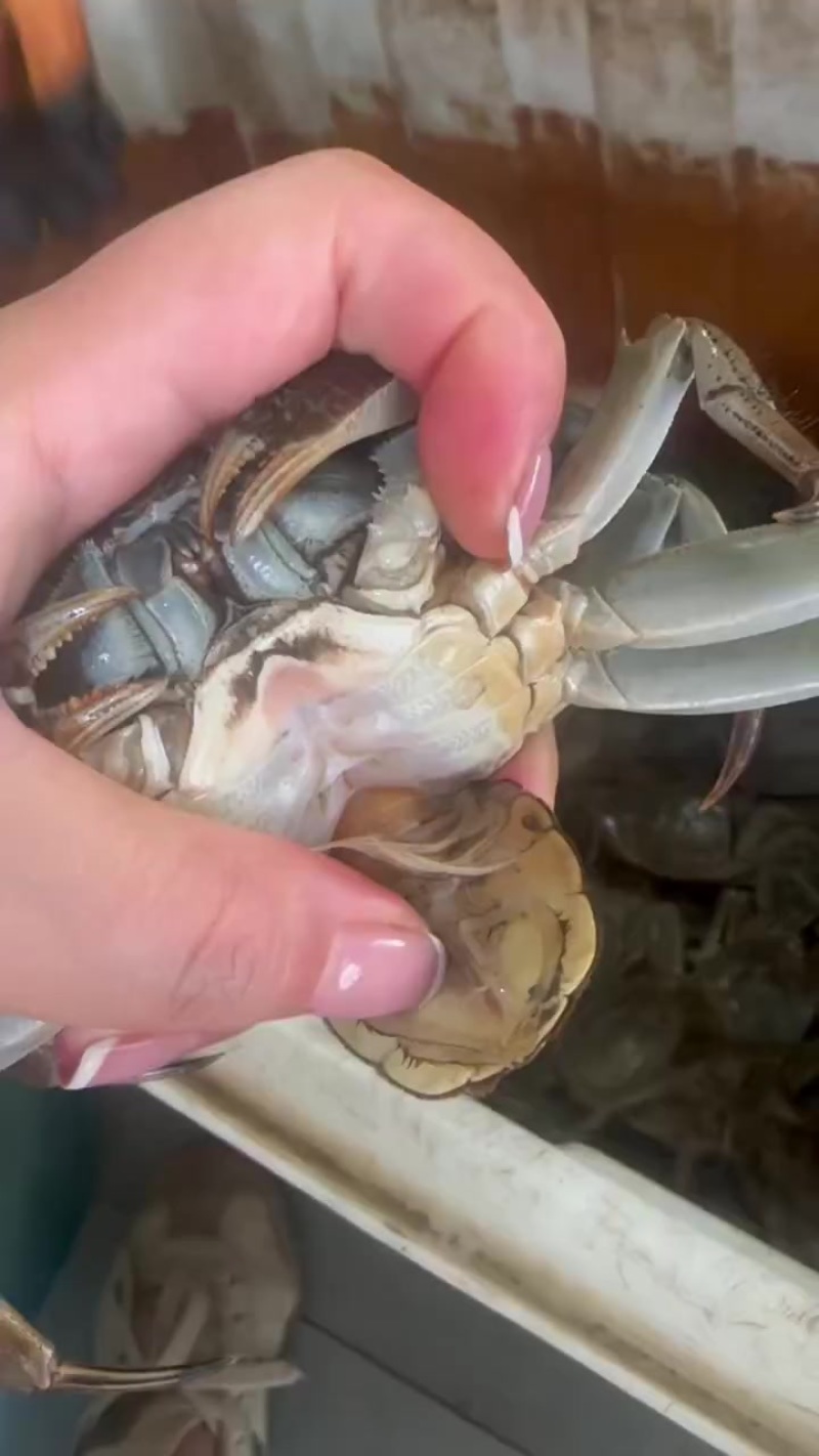 六月黄品质支持物流
