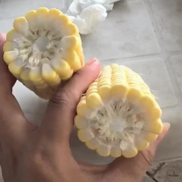 水果玉米上市