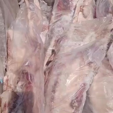 鹅，