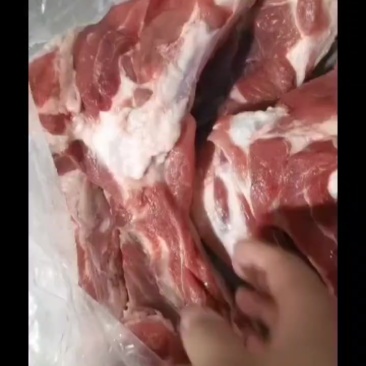 带腱后腿骨到货喽！只要3.9一斤！现货现货