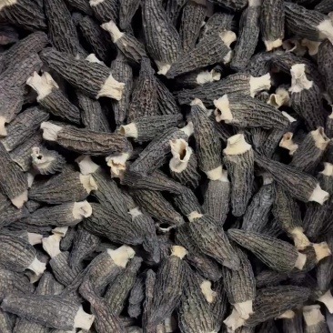 25年头茬新货物美价廉